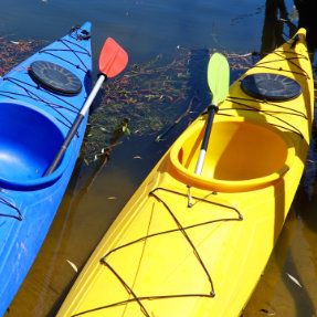 KAYAK